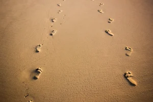 Huellas en la arena. Lauro de Freitas, Brazil Unsplash